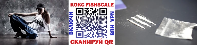 Cocaine FishScale  как найти закладки  Гай 