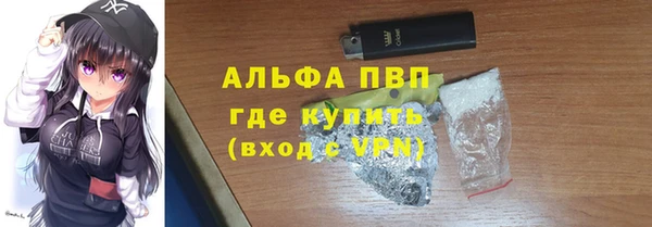 МДПВ Вяземский