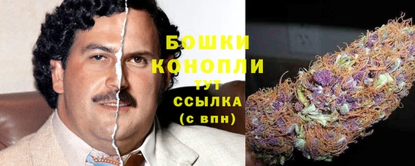 МДПВ Вяземский