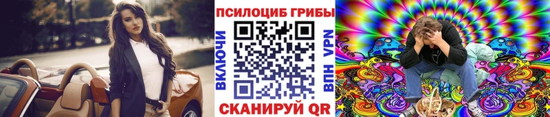купить  цена  Гай  Псилоцибиновые грибы мицелий 